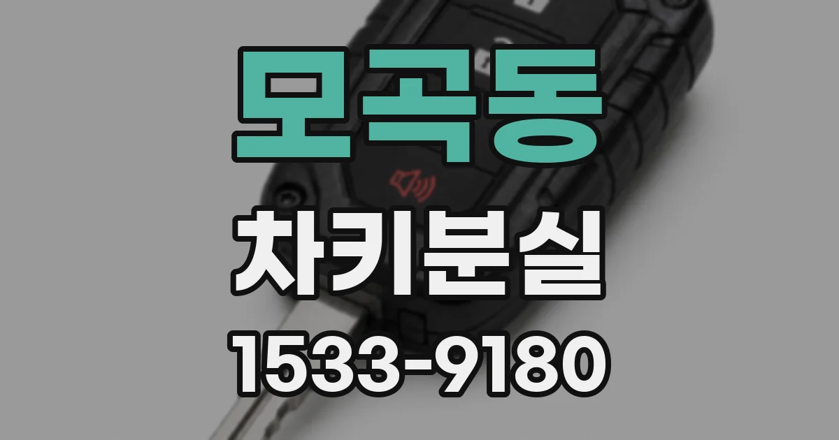 모곡동 차키분실