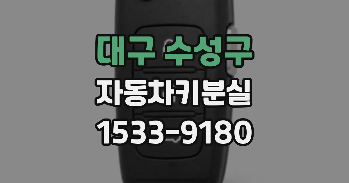 대구 수성구 자동차키분실