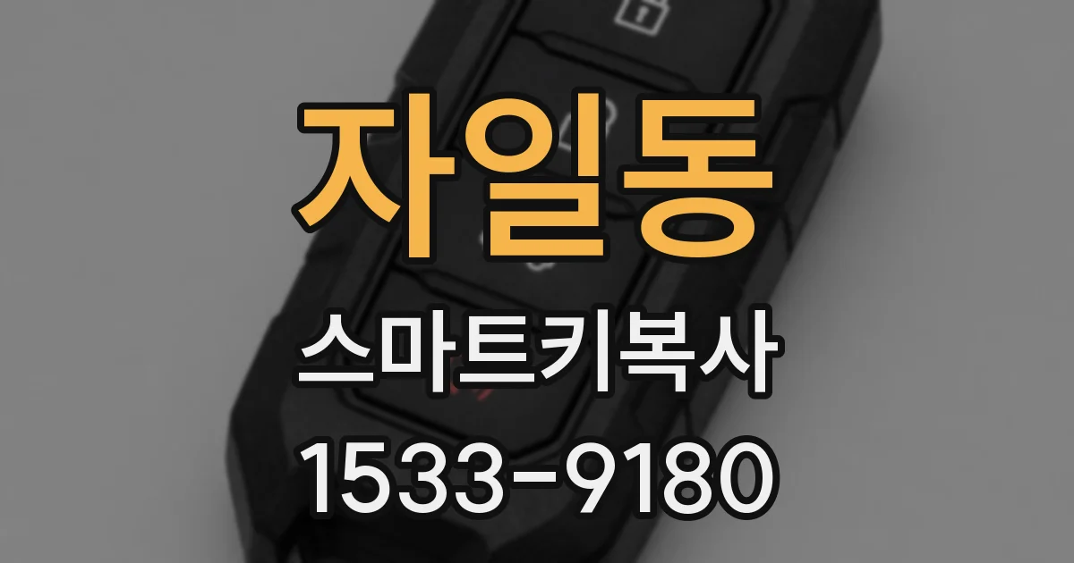 자일동 스마트키복사