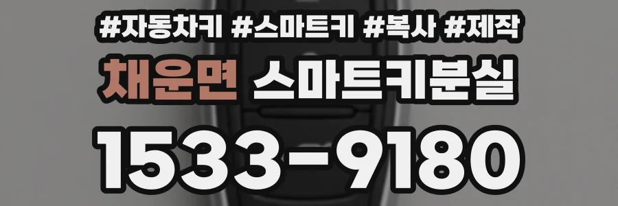 채운면 스마트키분실