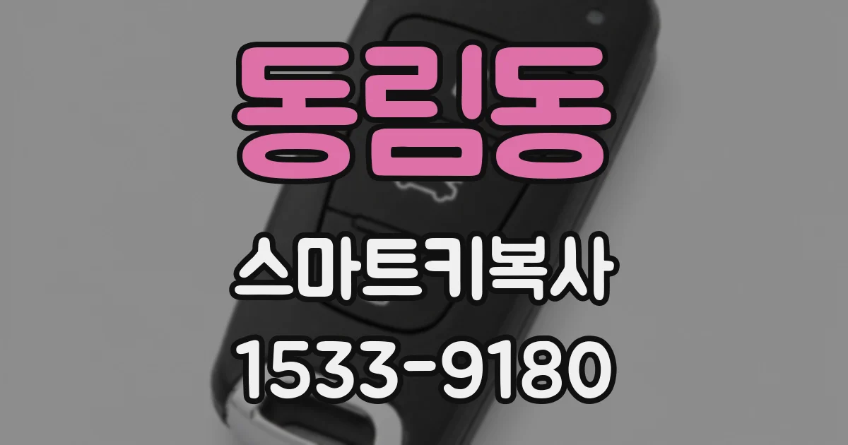 동림동 스마트키복사
