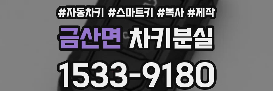 금산면 차키분실