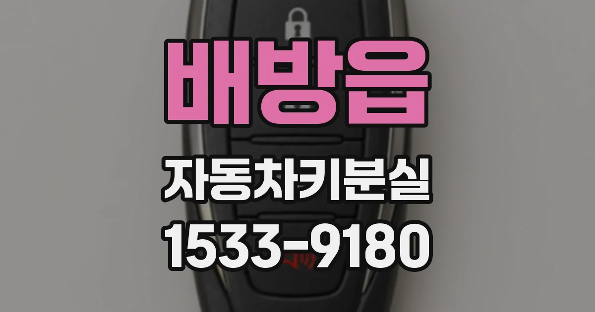 배방읍 자동차키분실