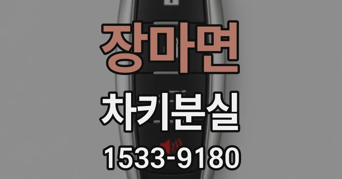 장마면 차키분실