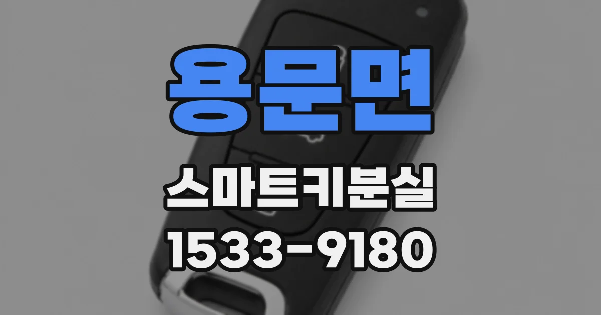 용문면 스마트키분실