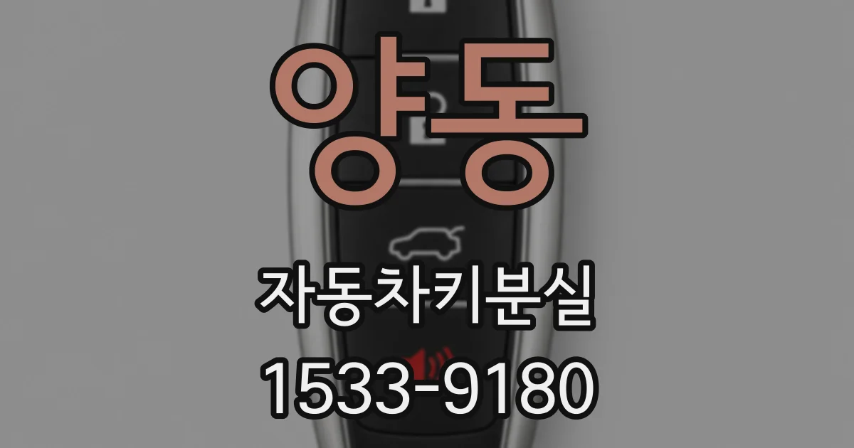 양동 자동차키분실
