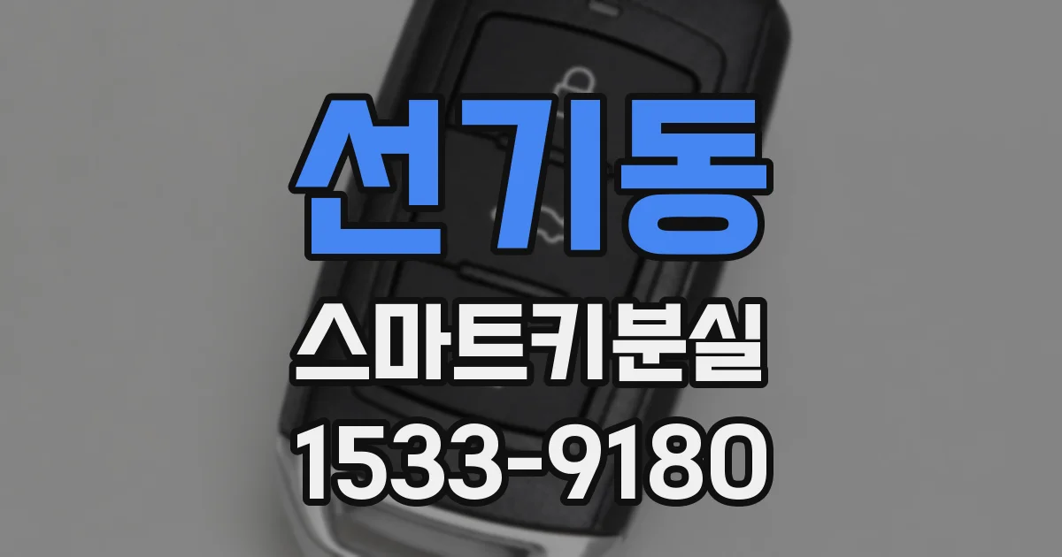 선기동 스마트키분실