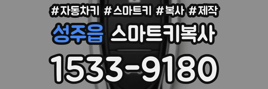 성주읍 스마트키복사