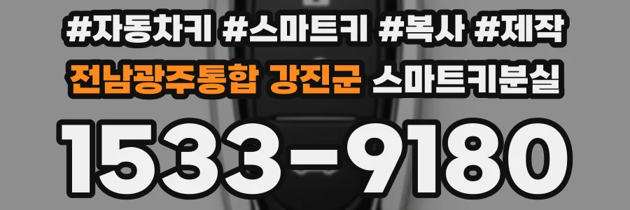 전남광주통합 강진군 스마트키분실