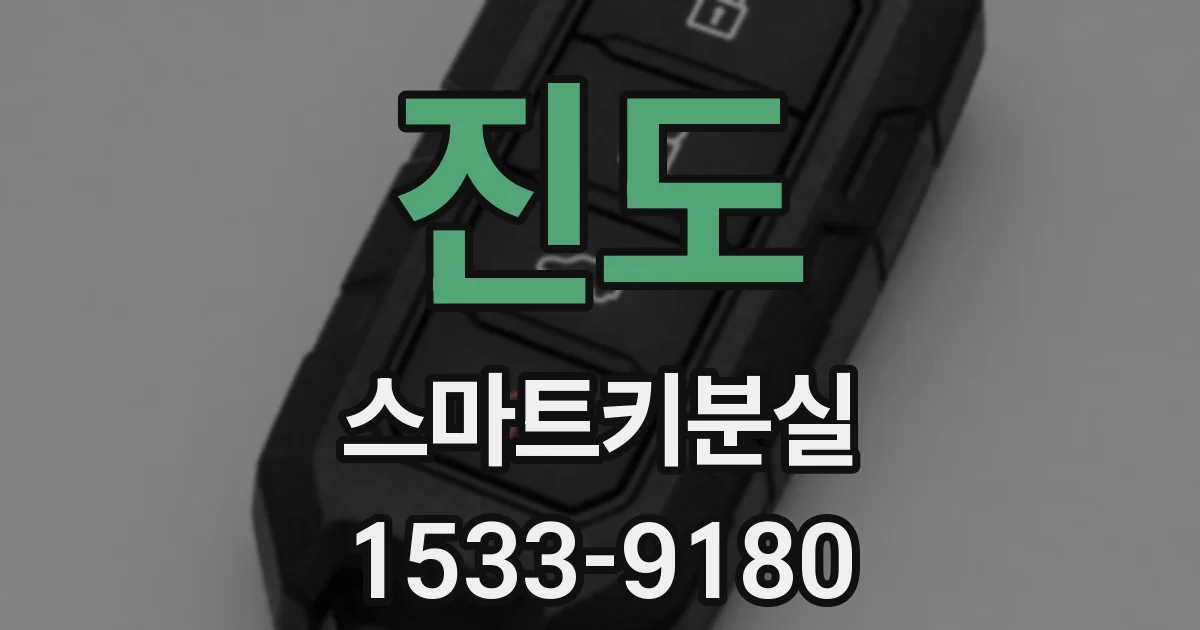 진도 스마트키분실