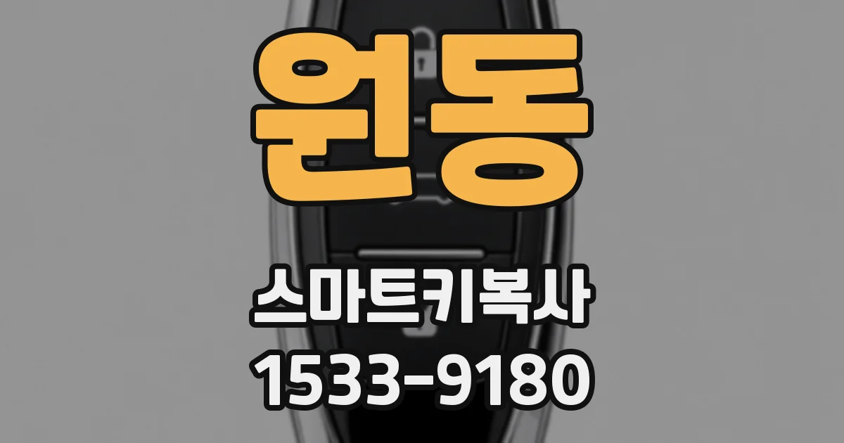 원동 스마트키복사