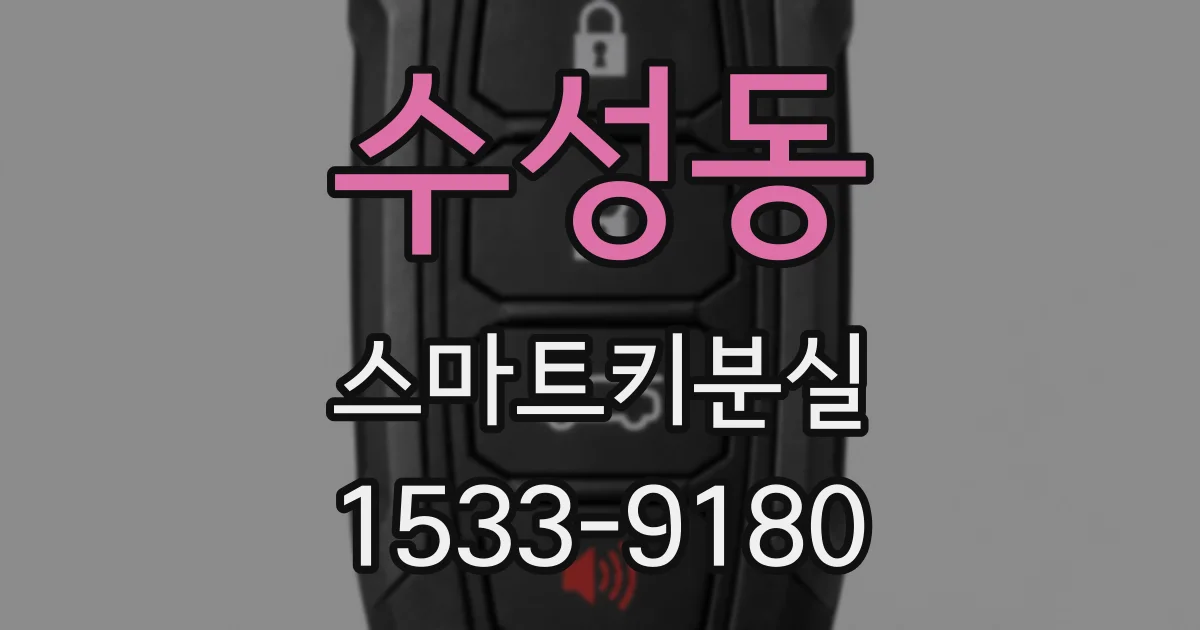 수성동 스마트키분실