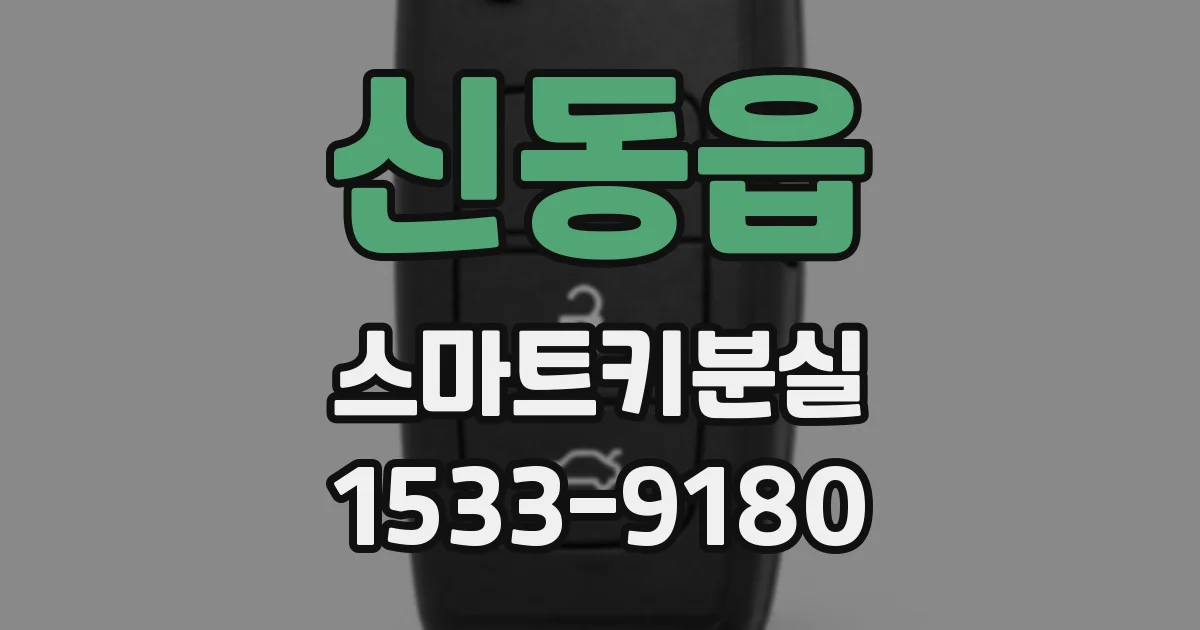 신동읍 스마트키분실