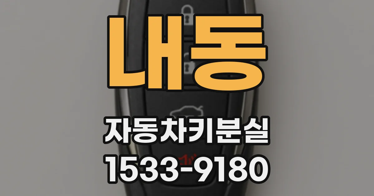 내동 자동차키분실