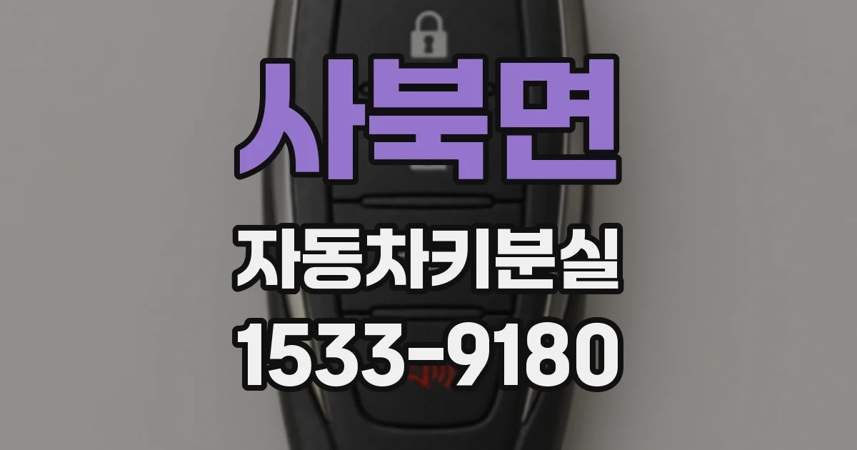 사북면 자동차키분실