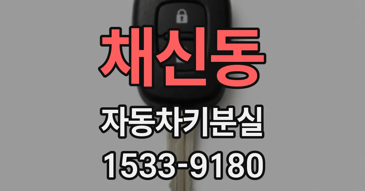 채신동 자동차키분실