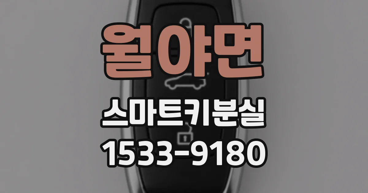 월야면 스마트키분실