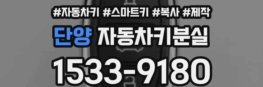 단양 자동차키분실