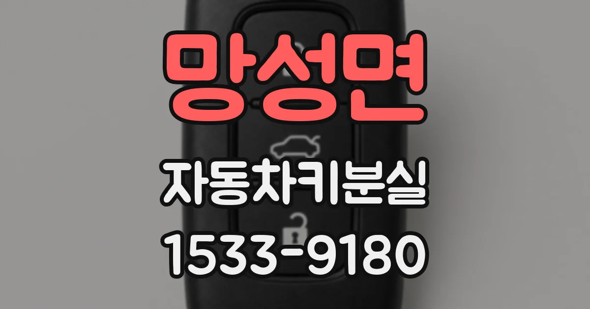 망성면 자동차키분실