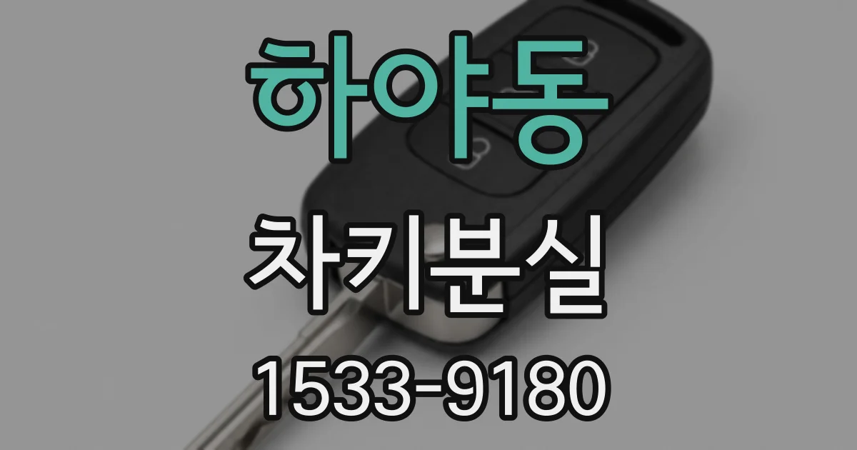 하야동 차키분실