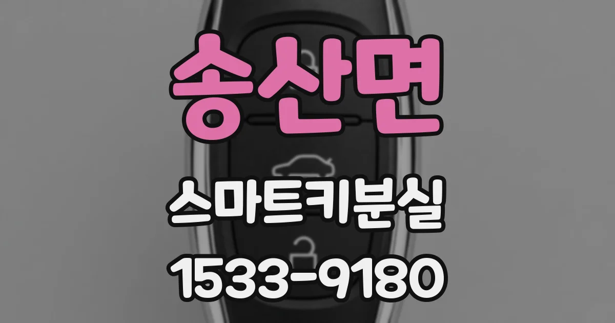 송산면 스마트키분실