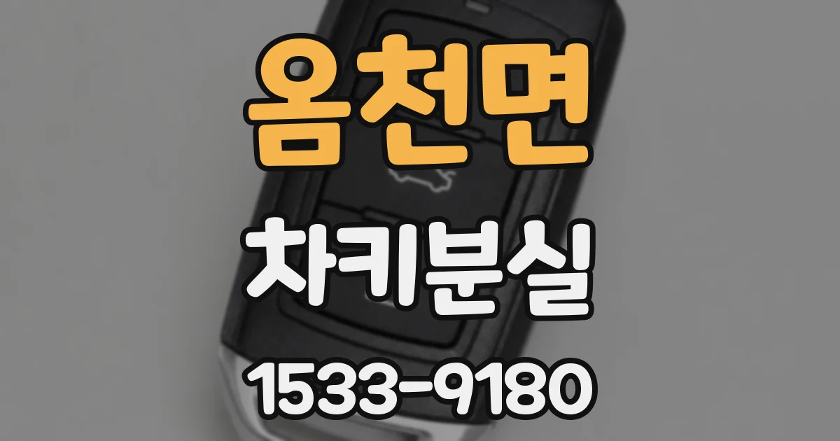 옴천면 차키분실