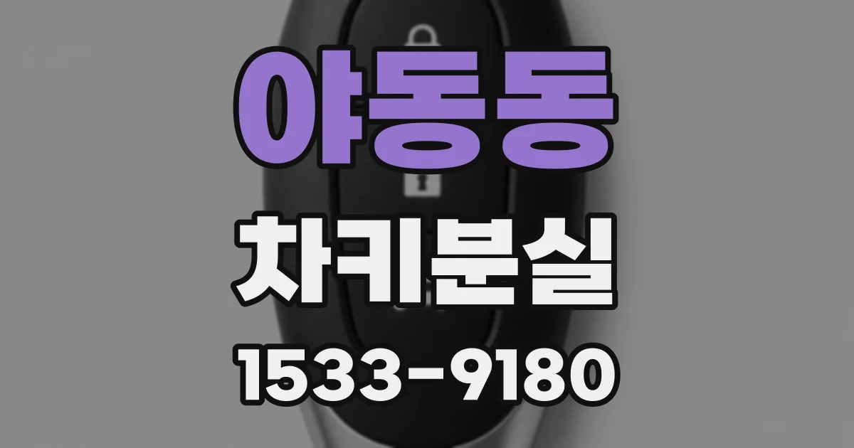 야동동 차키분실