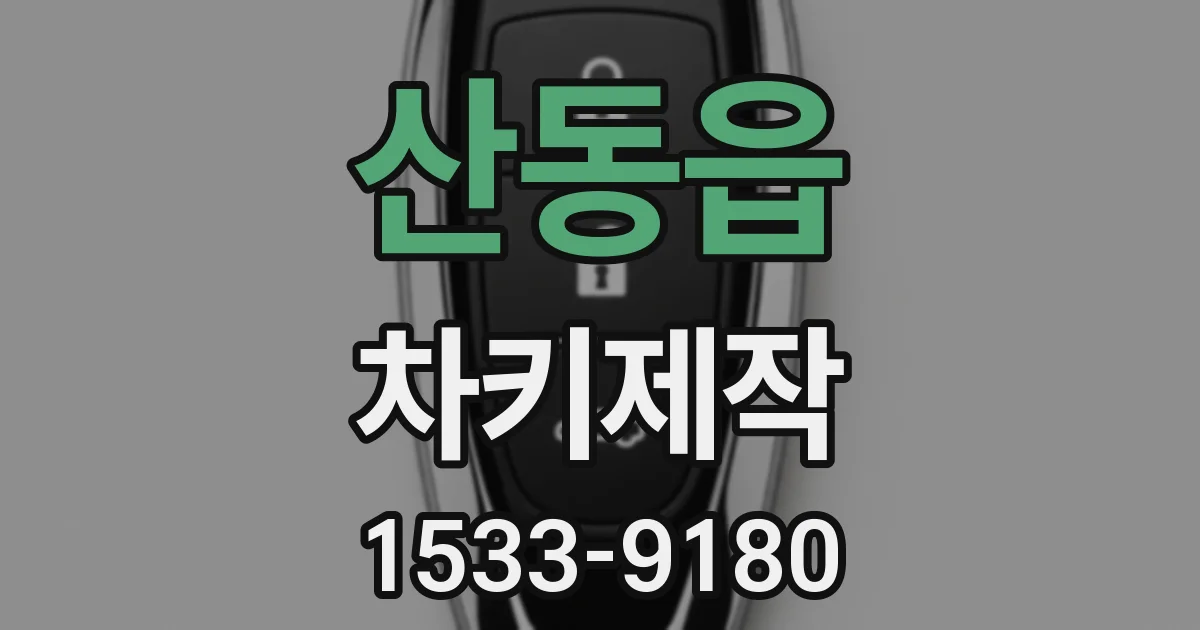 산동읍 차키제작
