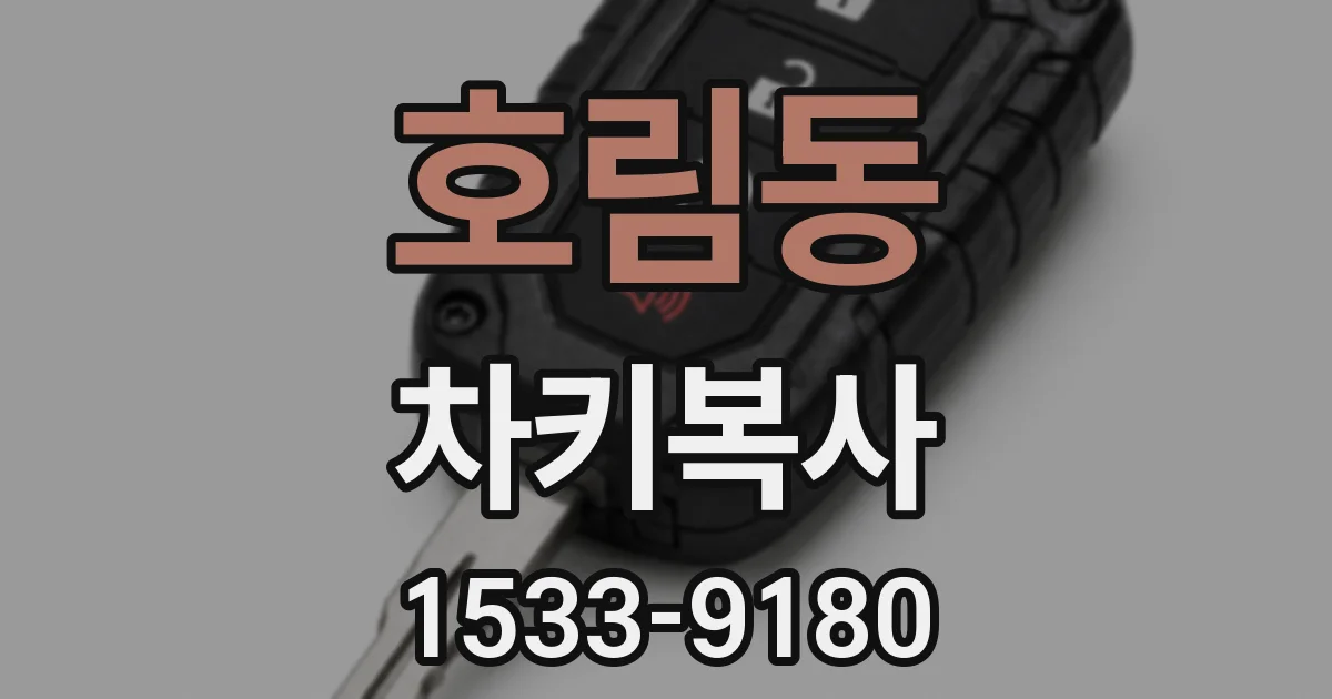 호림동 차키복사