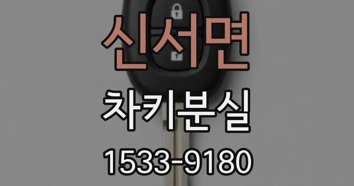 신서면 차키분실