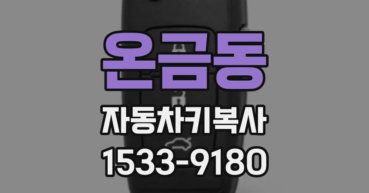 온금동 자동차키복사