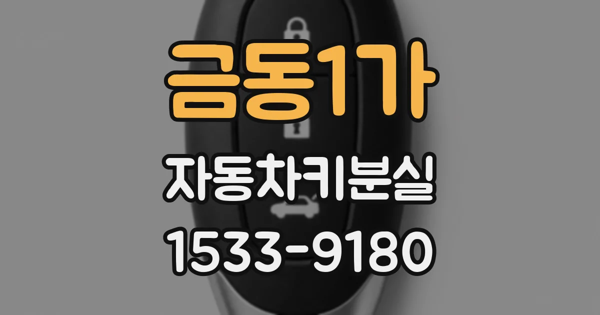금동1가 자동차키분실