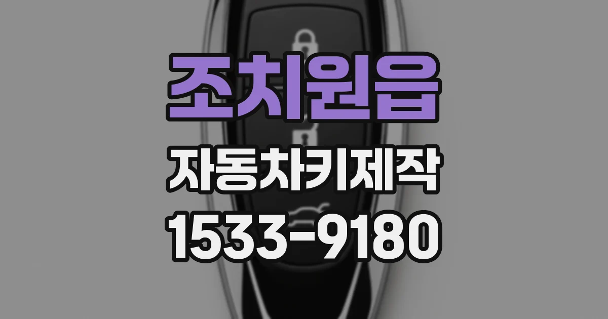 조치원읍 자동차키제작
