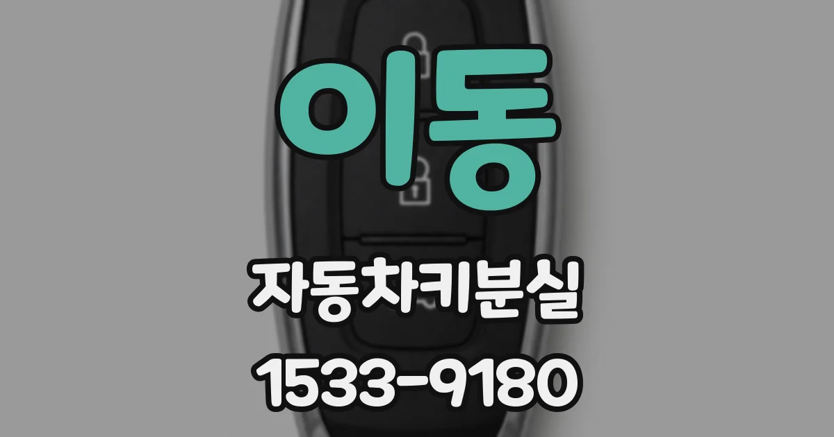 이동 자동차키분실