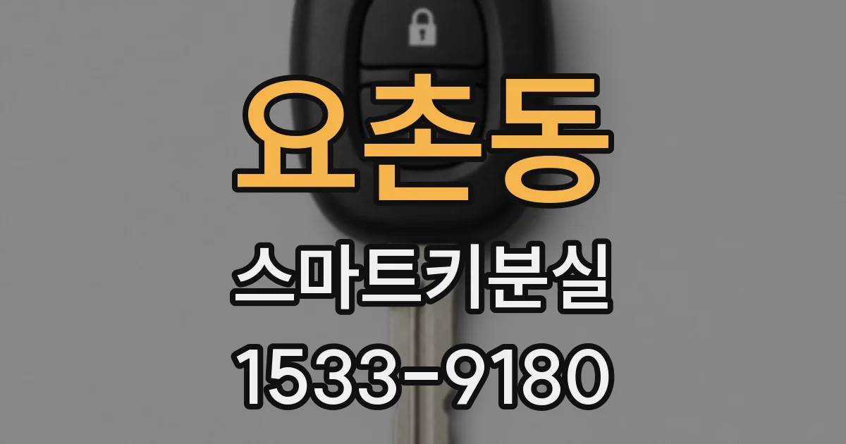 요촌동 스마트키분실