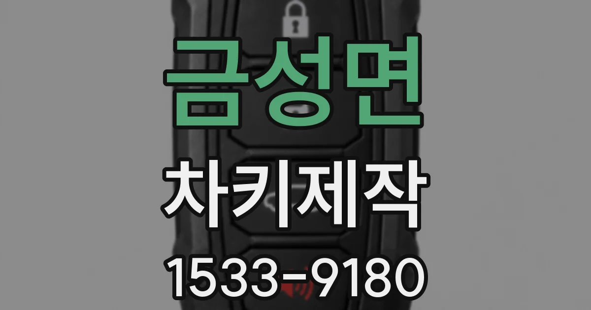 금성면 차키제작