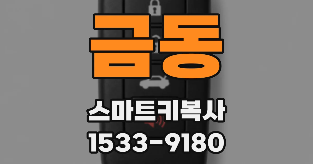 금동 스마트키복사