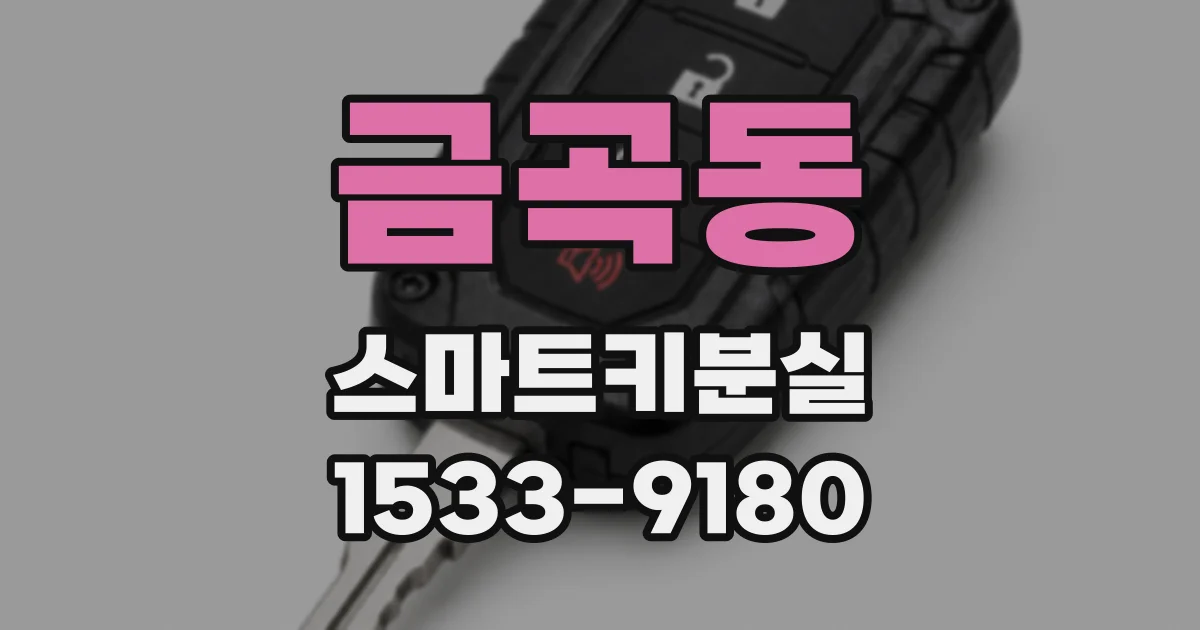 금곡동 스마트키분실
