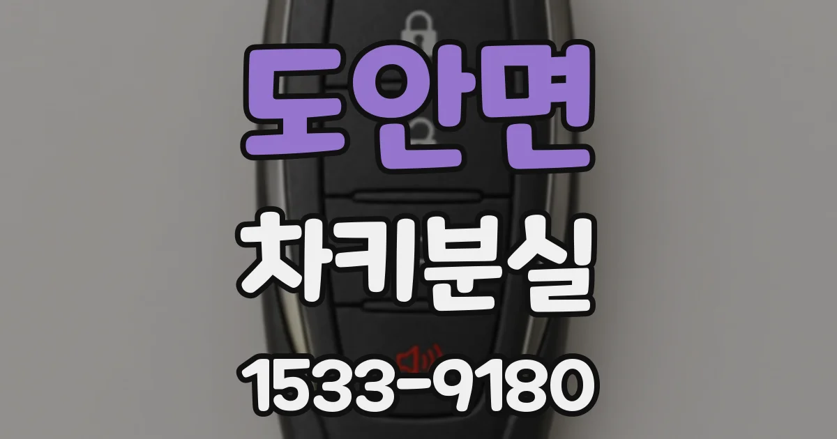 도안면 차키분실