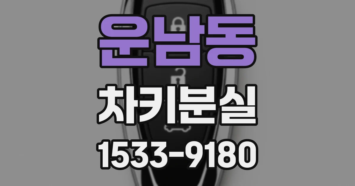 운남동 차키분실