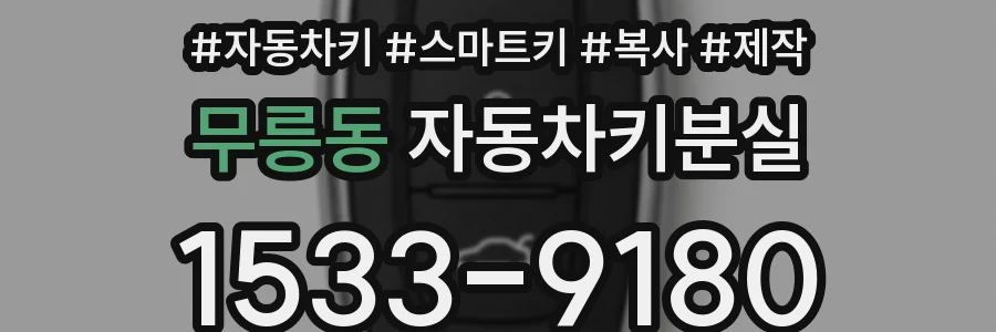 무릉동 자동차키분실