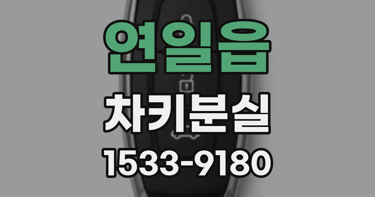 연일읍 차키분실