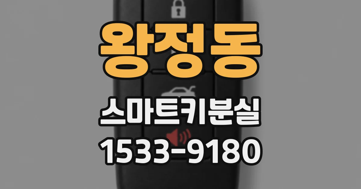 왕정동 스마트키분실