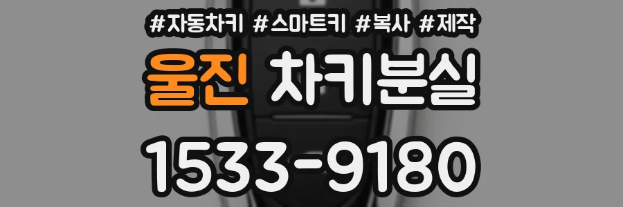울진 차키분실