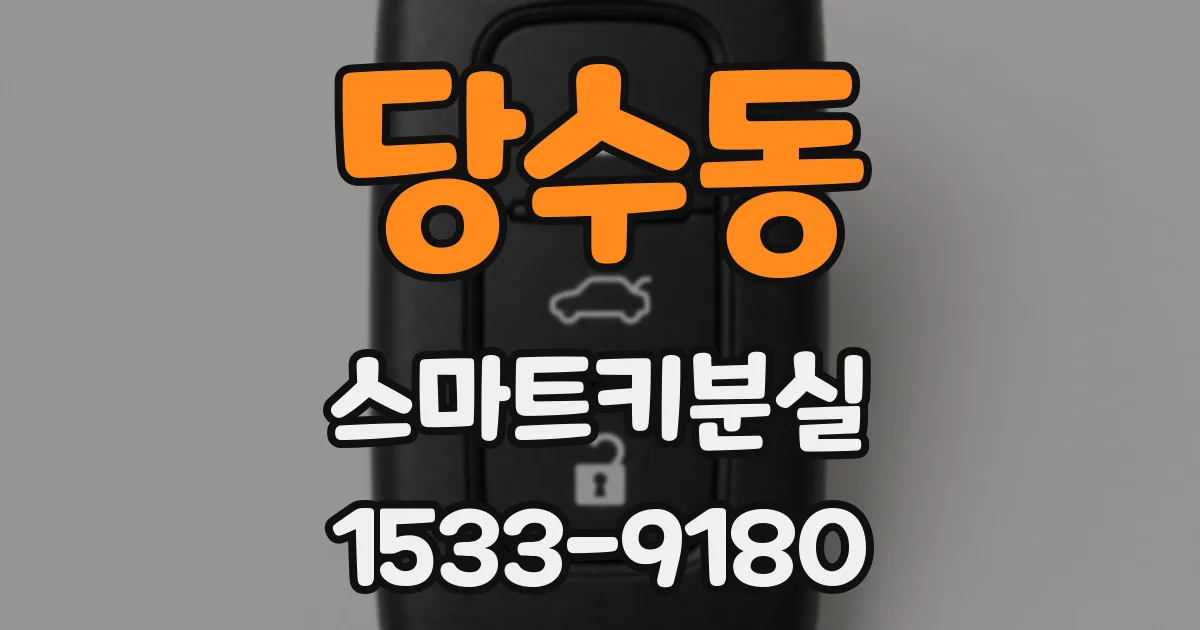 당수동 스마트키분실