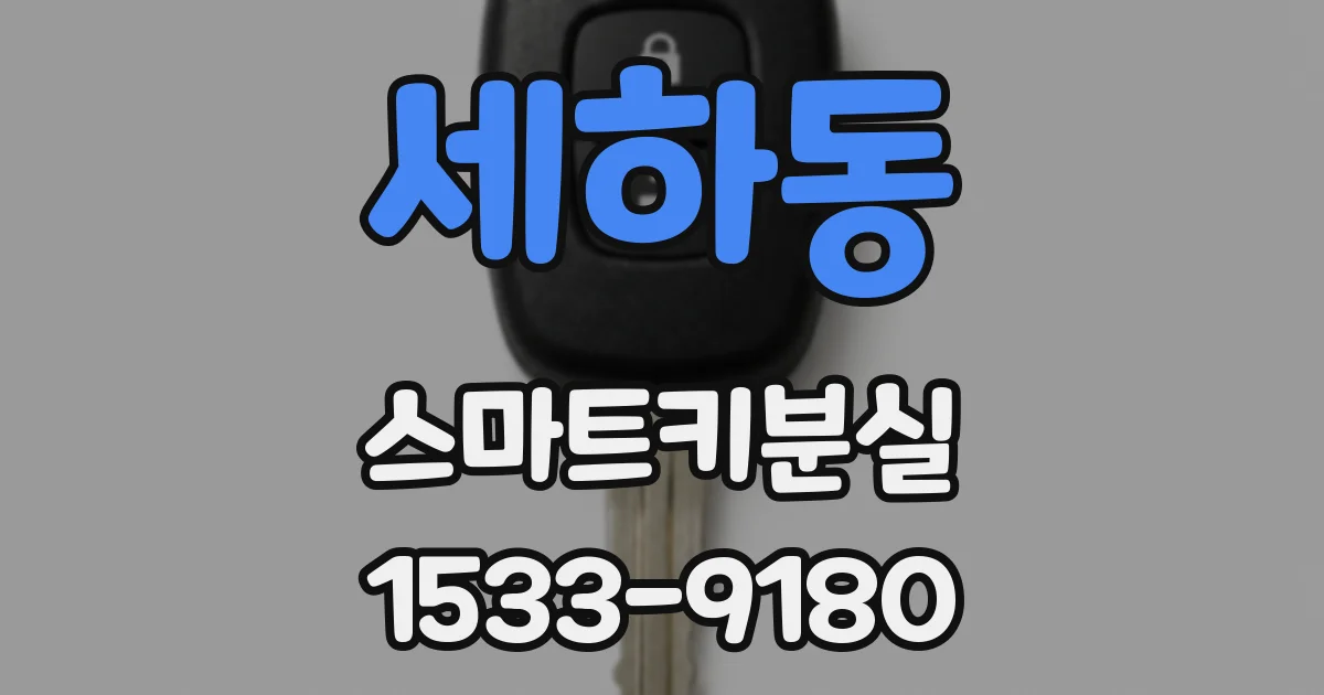 세하동 스마트키분실