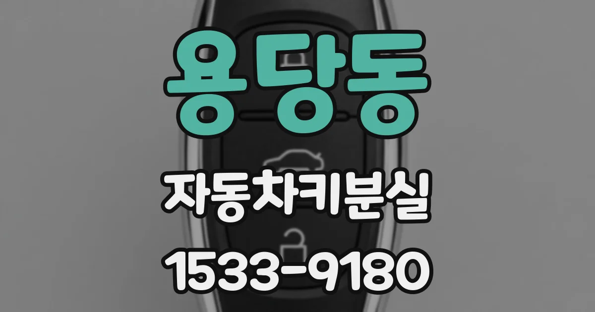 용당동 자동차키분실