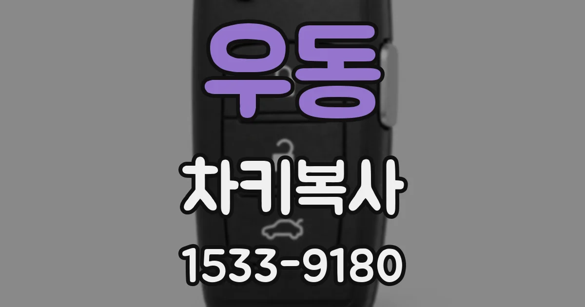 우동 차키복사