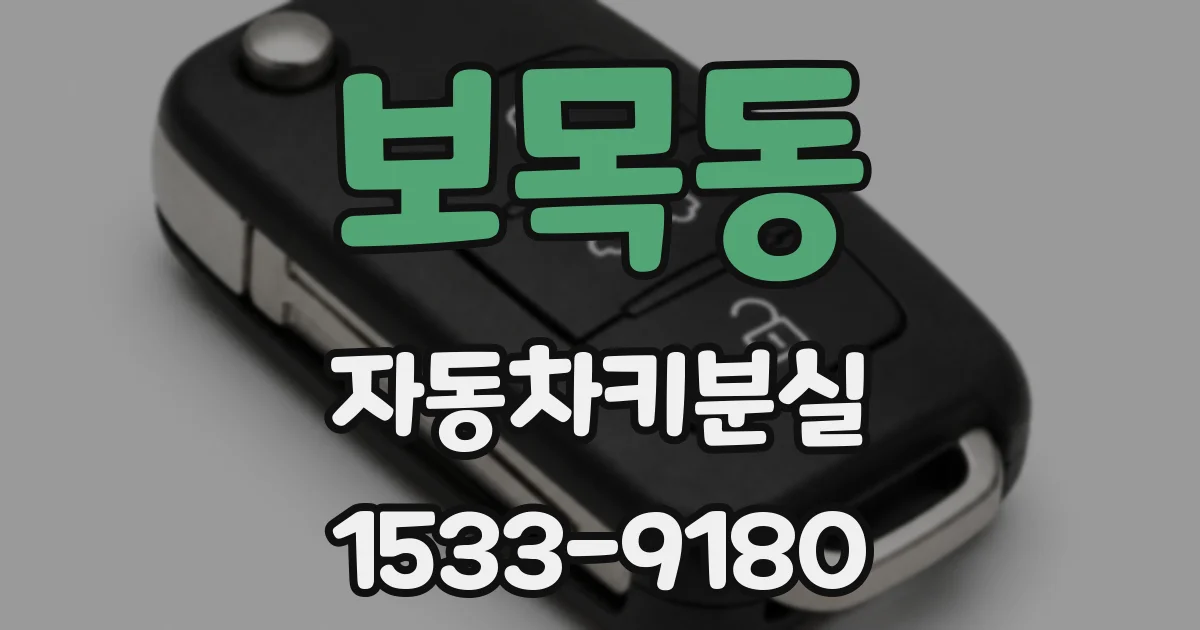 보목동 자동차키분실