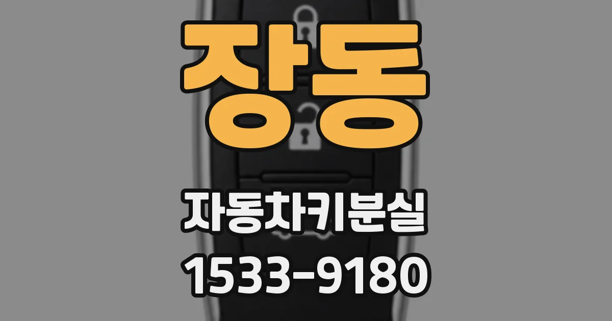장동 자동차키분실